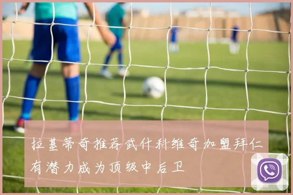 拉基蒂奇推荐武什科维奇加盟拜仁有潜力成为顶级中后卫